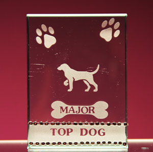 Top Dog Trophy